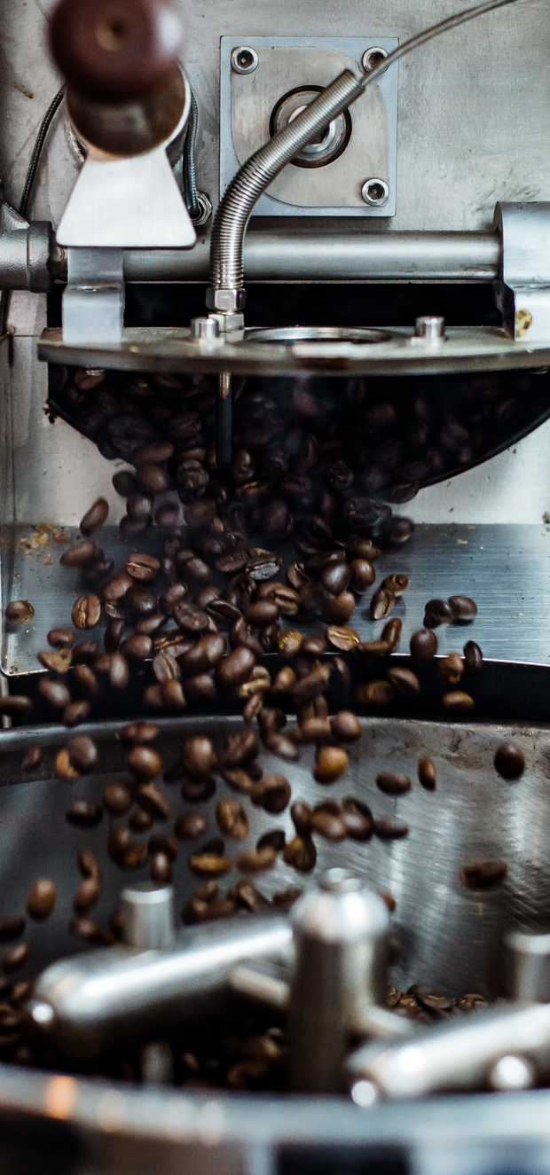 Auto generated site coffee house